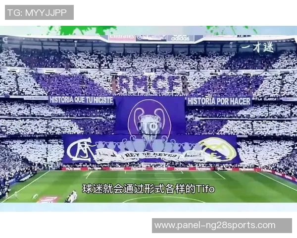 纯粹足球的魅力与激情探讨：从场上技艺到球迷文化的深度解析